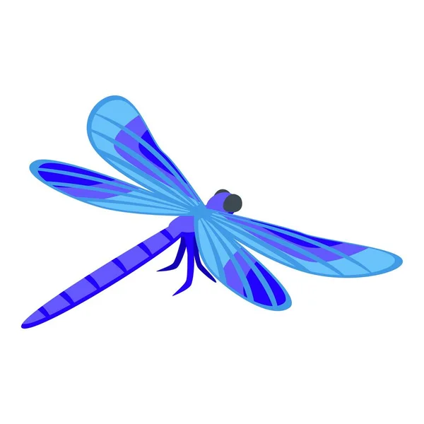 Blue Dragonfly Icon Isometric Vector Wing Dragon Summer Bug — Stock Vector