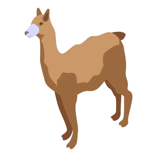 Izometrický Vektor Lamovy Ikony Zvíře Alpaky Peru Baby — Stockový vektor