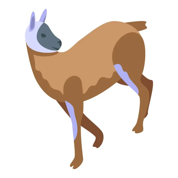 Alpaca Lama Icono Vector Isométrico Lindo Animal Bebé Divertido — Archivo Imágenes Vectoriales