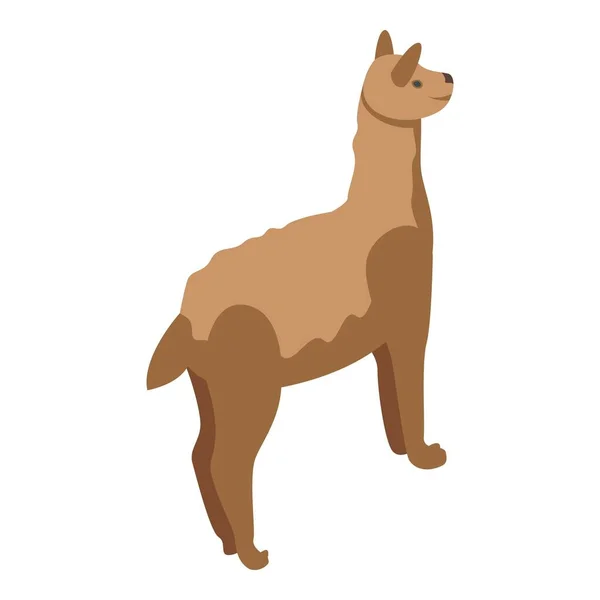 Icône Lama Vecteur Isométrique Charmant Animal Bébé Drôle — Image vectorielle