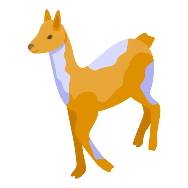 Icône Lama Sauvage Vecteur Isométrique Cool Bébé Mignon Animal — Image vectorielle