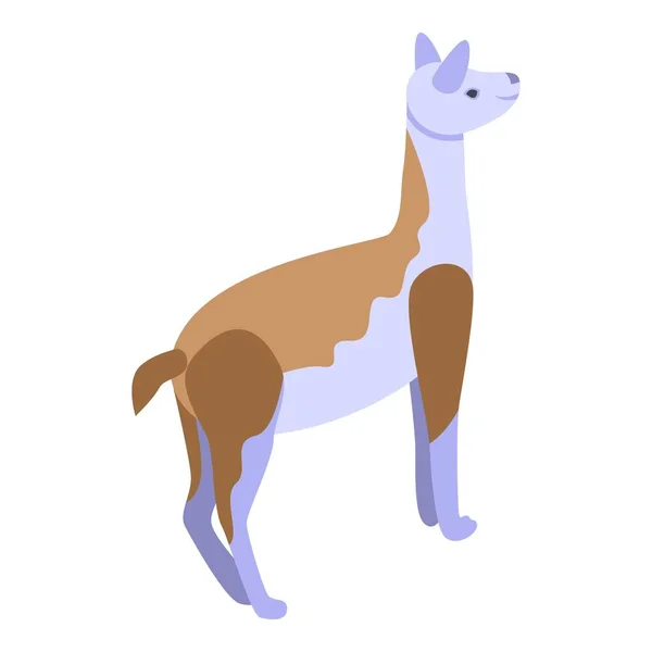 Pérou Icône Lama Vecteur Isométrique Charmant Animal Cool Bébé — Image vectorielle