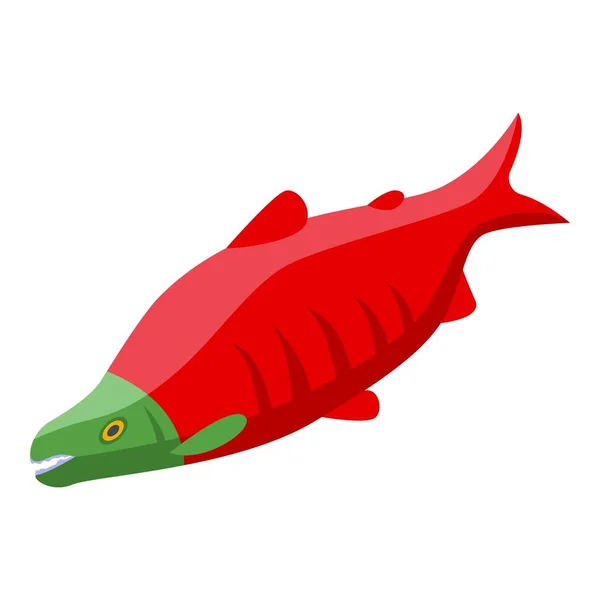 Alaska Roter Fisch Symbol Isometrischen Vektor Arktische Natur Nordstaat — Stockvektor