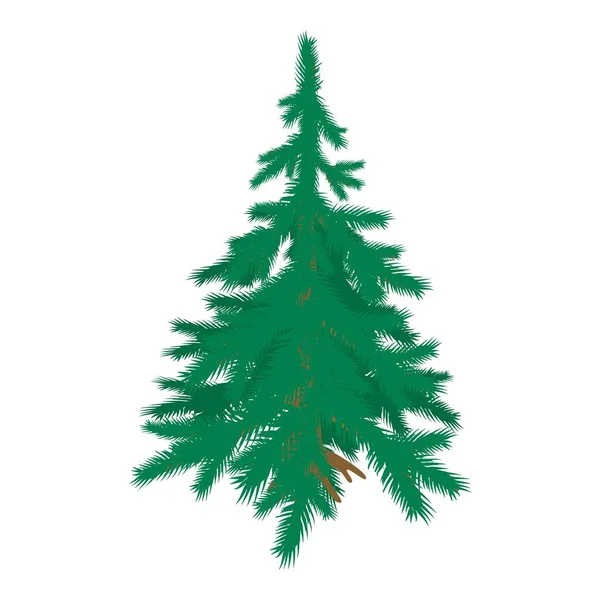 Mavi Ladin Ikonu Izometrik Vektörü Serbest Kalan Yeşil Kozalaklı Ağaç — Stok Vektör