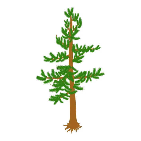 Изометрический Вектор Зеленой Сосны Свободно Стоящая Вечнозеленая Икона Хвойного Дерева — стоковый вектор