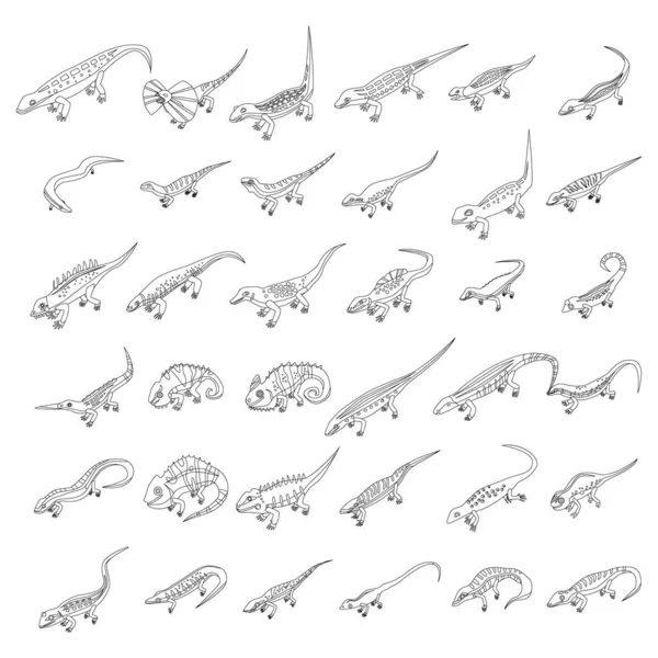 Набір Піктограм Ящірки Ізометричний Набір Іконок Ящірки Векторні Іконки Білому — стоковий вектор