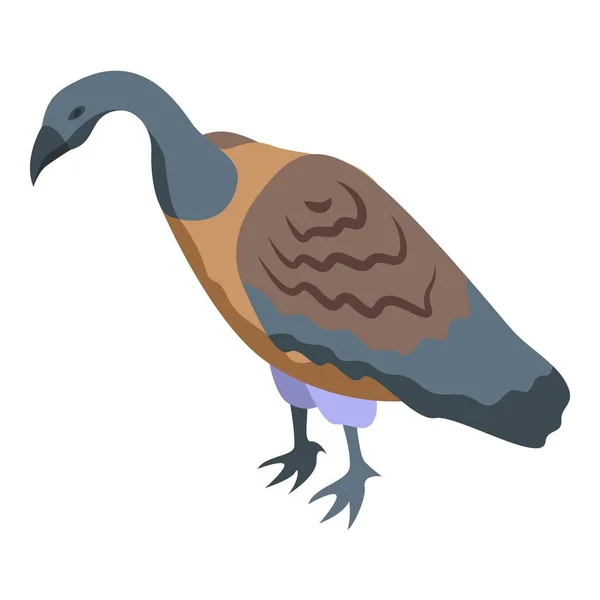 Zoogeier Symbol Isometrischer Vektor Böser Vogel Federflügel — Stockvektor