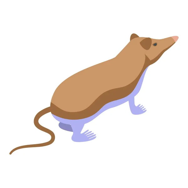 哺乳類のアイコン等角ベクトルを表示します マウス動物 自然農場 — ストックベクタ