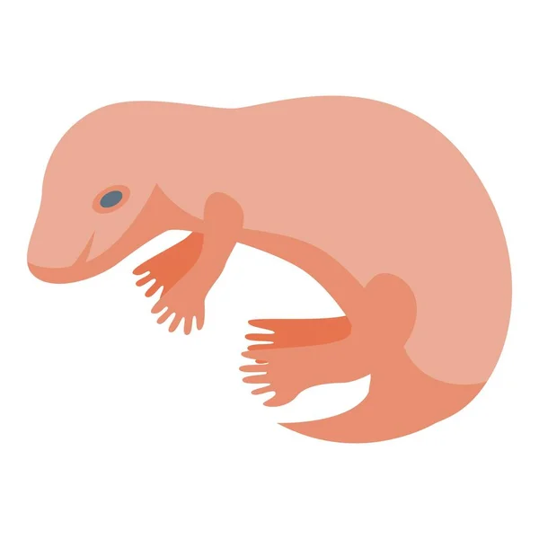 新生児はアイコン等角ベクトルを示す アフリカの動物 哺乳類 — ストックベクタ