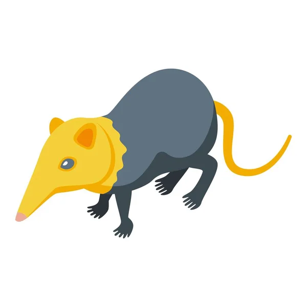 Ícone Amarelo Cabeça Shrew Vetor Isométrico Animal Africano Mamífero Rato — Vetor de Stock