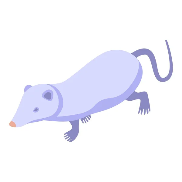 Ícone Rato Branco Vetor Isométrico Animal Astuto Imagem Natureza — Vetor de Stock