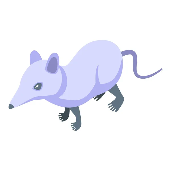 Ikona Białej Myszy Wektor Izometryczny Afrykańskie Zwierzę Gatunki Naturalne — Wektor stockowy