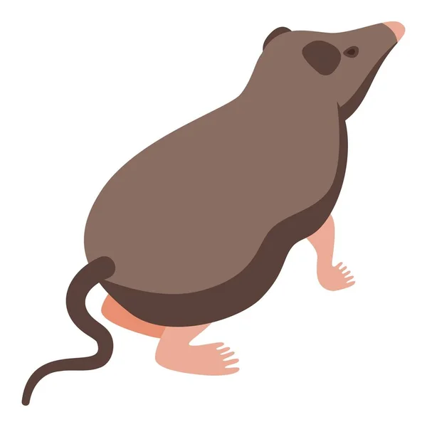 Изометрический Вектор Иконы Строптивого Животного Африканское Млекопитающее Мышь — стоковый вектор