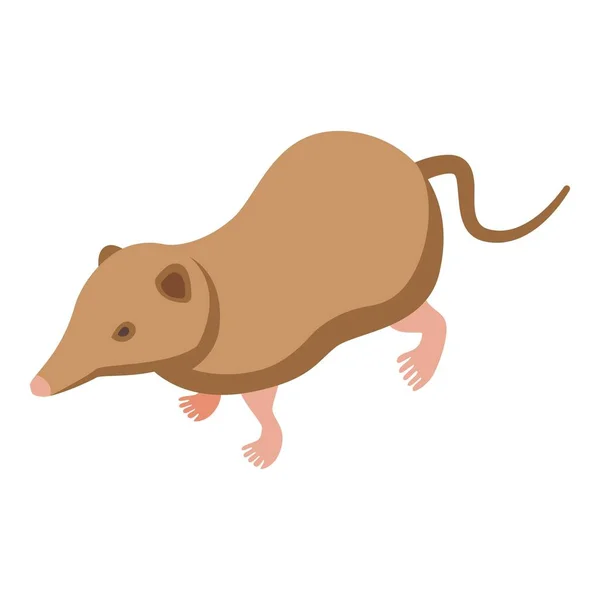 ブラウンはアイコン等角ベクトルを示す マウス動物 アフリカ哺乳類 — ストックベクタ