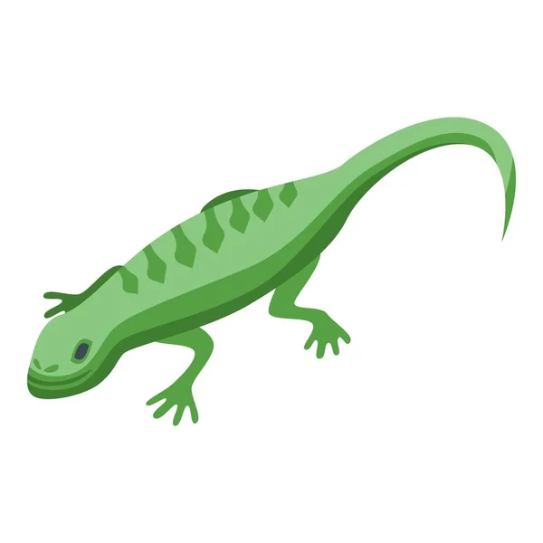 绿色爬行动物图标等距矢量 蜥蜴青蛙 Iguana野生 — 图库矢量图片