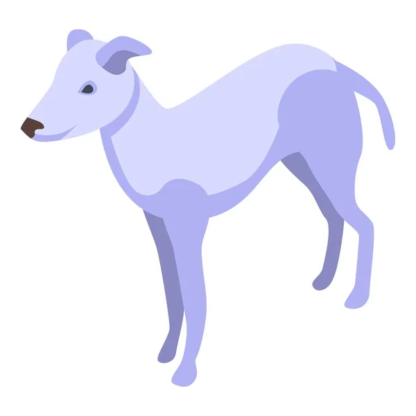 Icono Galgo Blanco Vector Isométrico Animal Doméstico Mamífero Canino — Vector de stock