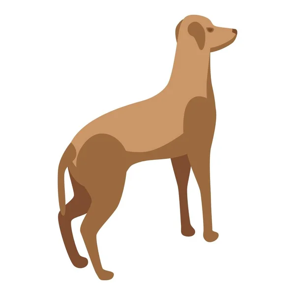 Ícone Cão Corrida Vetor Isométrico Animal Estimação Caninos Domésticos — Vetor de Stock