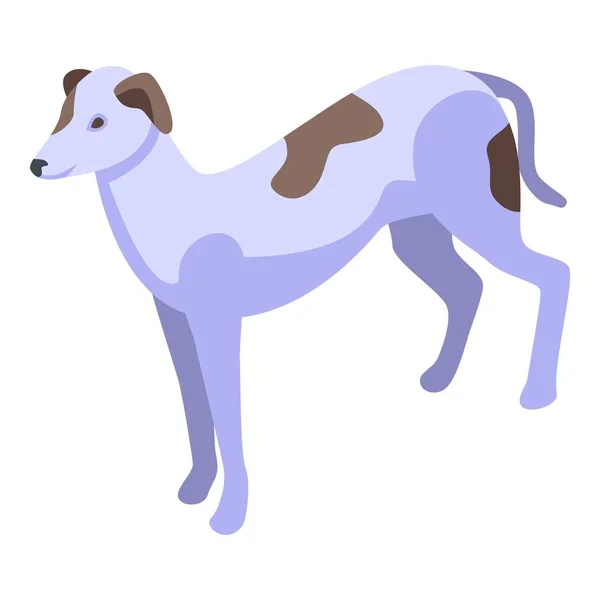 Ισομετρική Διανυσματική Εικόνα Κυνηγόσκυλου Ζώο Σκυλί Σκύλος Συντροφιάς — Διανυσματικό Αρχείο