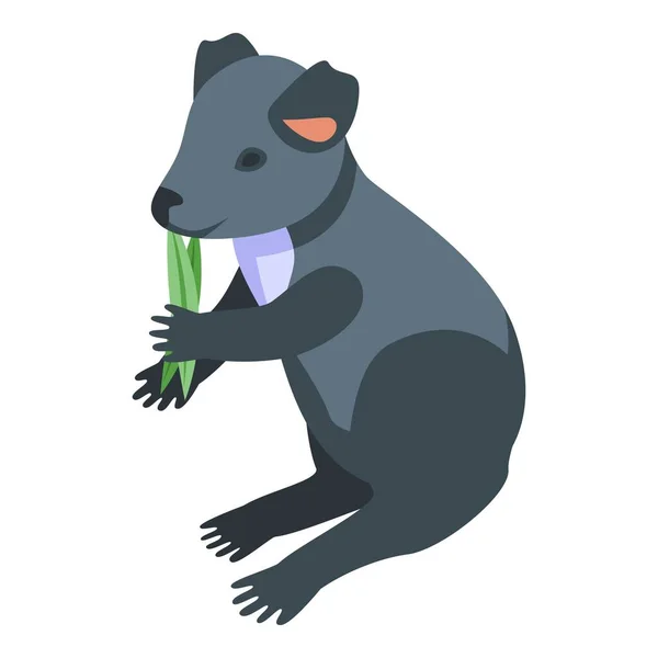 Koala Comer Folha Ícone Vetor Isométrico Urso Giro Bebê Animal — Vetor de Stock