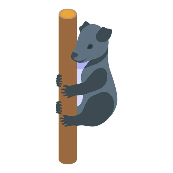 コアラはアイコン等角ベクトルを動かす 可愛い熊さん — ストックベクタ