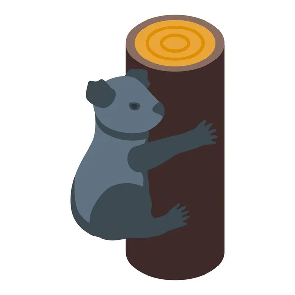 Zoo Koala Icon Isometric Vector Cute Bear Leaf Food — Stock Vector