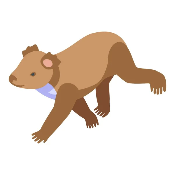 コアラアイコン等角ベクトルを動かす 可愛い熊さん 動物の赤ん坊 — ストックベクタ