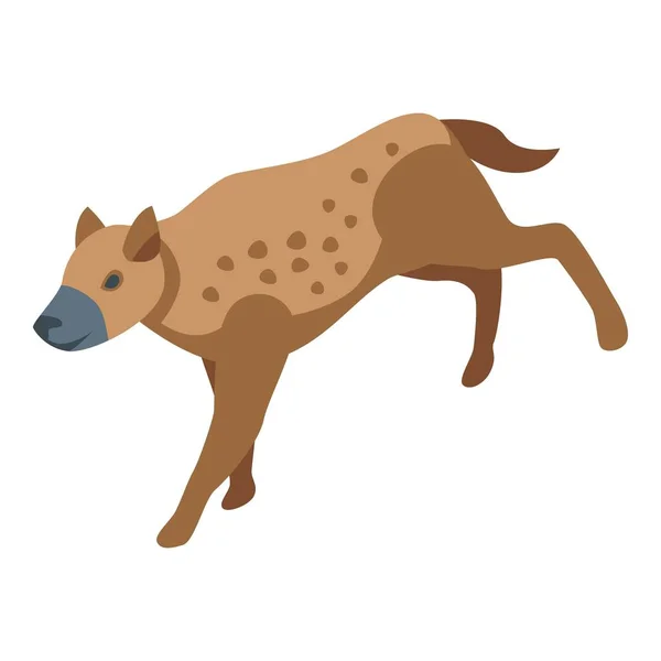 Icône Hyène Sauvage Vecteur Isométrique Loup Animal Parc Asiatique — Image vectorielle