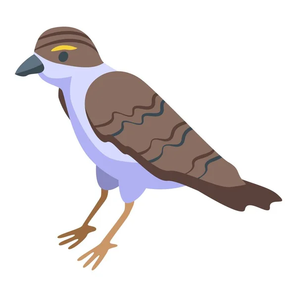 Piccolo Vettore Isometrico Icona Passero Uccello Domestico Volano Maschio — Vettoriale Stock