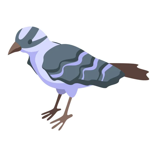 Moineau Gris Icône Vecteur Isométrique Branche Oiseau Aile Sauvage — Image vectorielle