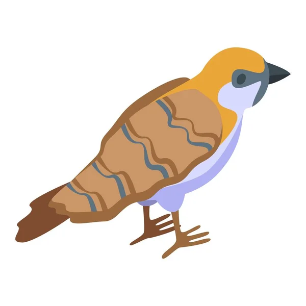 Serçe Ikonu Izometrik Vektörü Kuş Yuvası Küçük Vahşi — Stok Vektör