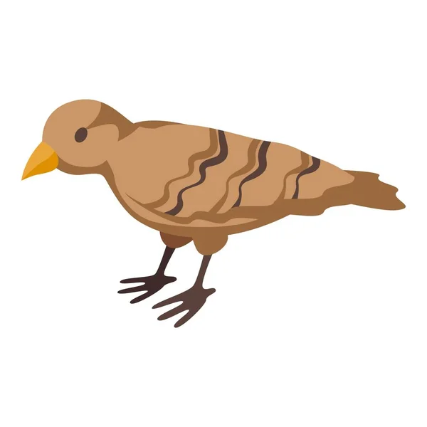 Icône Moineau Urbain Vecteur Isométrique Petit Oiseau Aile Belle — Image vectorielle