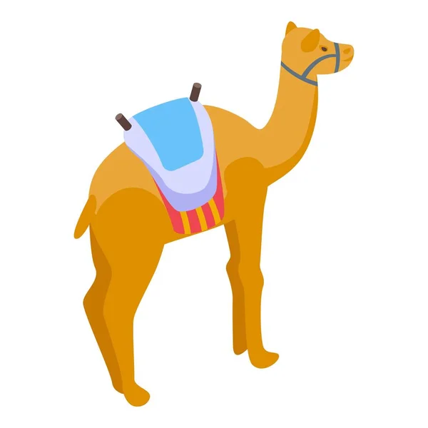 Camel Desierto Icono Vector Isométrico Carpa Árabe Árabe Islámico — Vector de stock