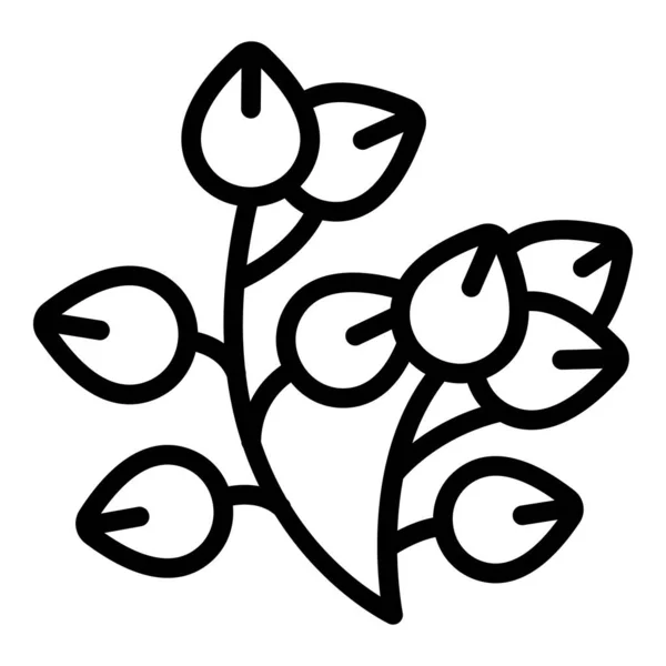 Вектор Контуру Піктограми Рослинної Гречки Стовбур Насіння Квіткова Каша — стоковий вектор