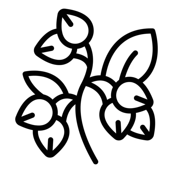 Fleur Sarrasin Icône Contour Vecteur Une Plante Céréalière Nature Bio — Image vectorielle