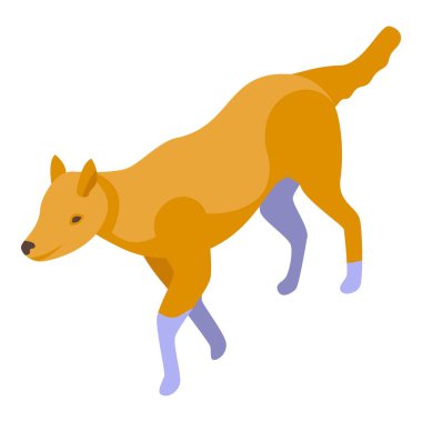 Hayvanat bahçesi vahşi köpek ikonu izometrik vektörü. Afrika memelisi. Safari doğası