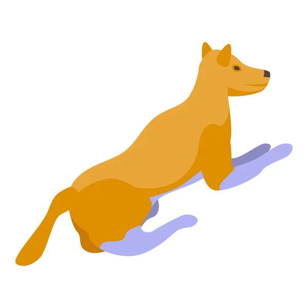 Isoometrisk Vektor För Hund Vilda Djur Naturrovdjur — Stock vektor