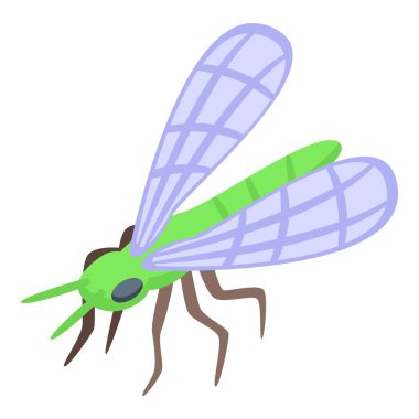 Forest insect icon isometric vector. Nature plant. Jungle asia