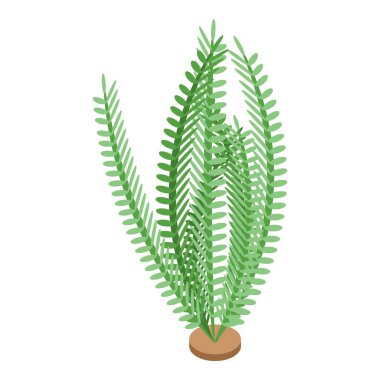 Okyanus bitkisi ikonu izometrik vektörü. Deniz yosunu. Su Suyu