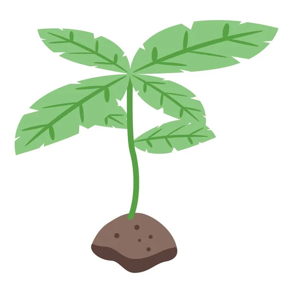 Basil Plant Icon Isometric Vector Fresh Herb Natural Organic — Stock Vector