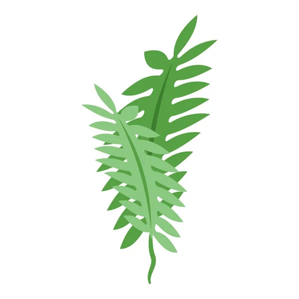 Icône Des Algues Marines Vecteur Isométrique Plante Algues Herbe Marine — Image vectorielle