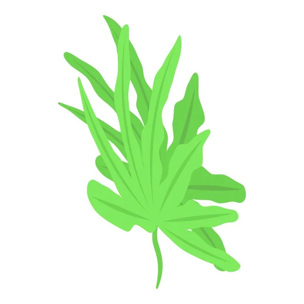 Blatt Algen Symbol Isometrischer Vektor Meerespflanze Wasserkorallen — Stockvektor
