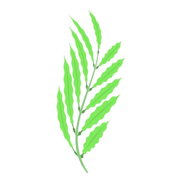 Icône Plante Eau Vecteur Isométrique Récif Herbeux Algues Marines — Image vectorielle