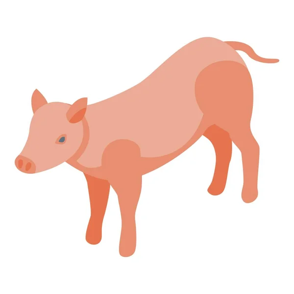 Tauschschwein Symbol Isometrischen Vektor Geldzahlung Tauschwaren — Stockvektor