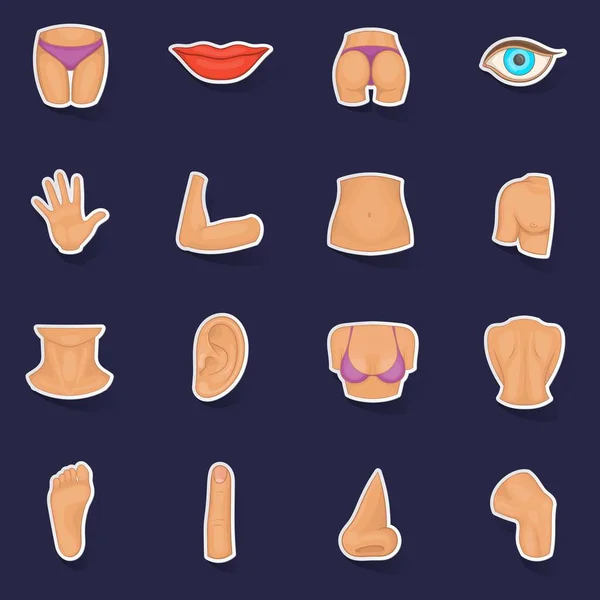 Body Parts Icons Set Stikers Collection Vector Shadow Purple Background — Stock Vector