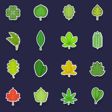Farklı yaprak simgeleri mor arkaplanda gölgesi olan çıkartma toplama vektörü