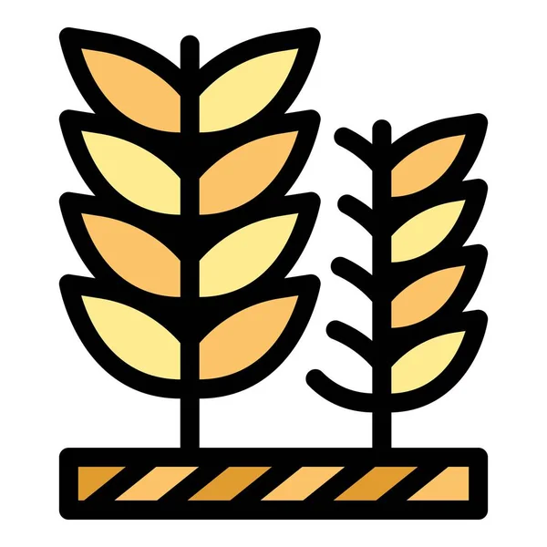 小麦植物图标 基于白背景色平面的网页设计概要小麦植物矢量图标 — 图库矢量图片