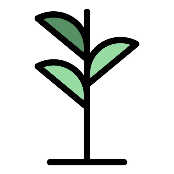 Virágnövény Ikon Vázlat Virágos Növény Vektor Ikon Web Design Elszigetelt — Stock Vector