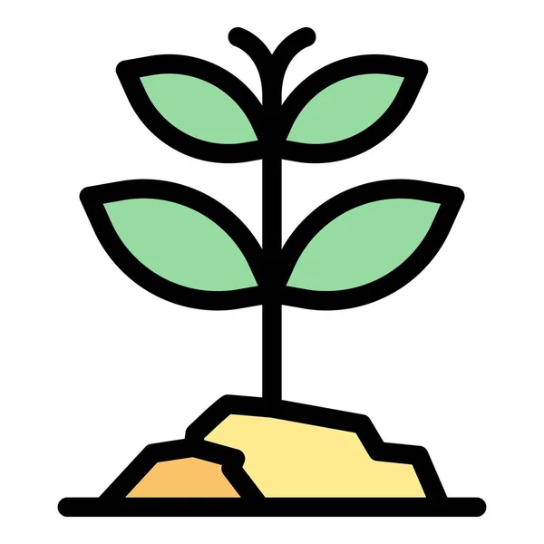 Icono Planta Herbal Esquema Herbal Planta Vector Icono Para Diseño — Archivo Imágenes Vectoriales