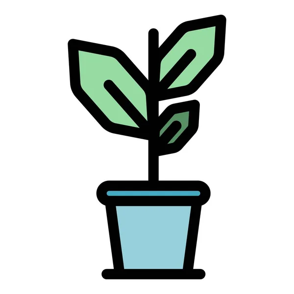 Иконка Растительного Растения Контур Травяной Био Растительный Вектор Значок Веб — стоковый вектор