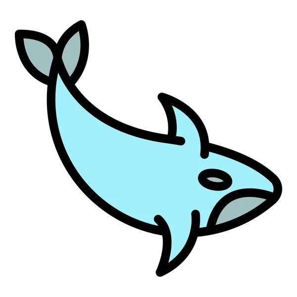 Ikona Dolphin Orca Obrys Dolphin Orca Vektor Ikona Pro Web — Stockový vektor